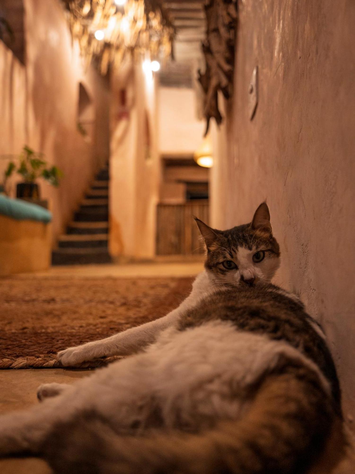 Firefly Boutique Hotel Zanzibar מראה חיצוני תמונה
